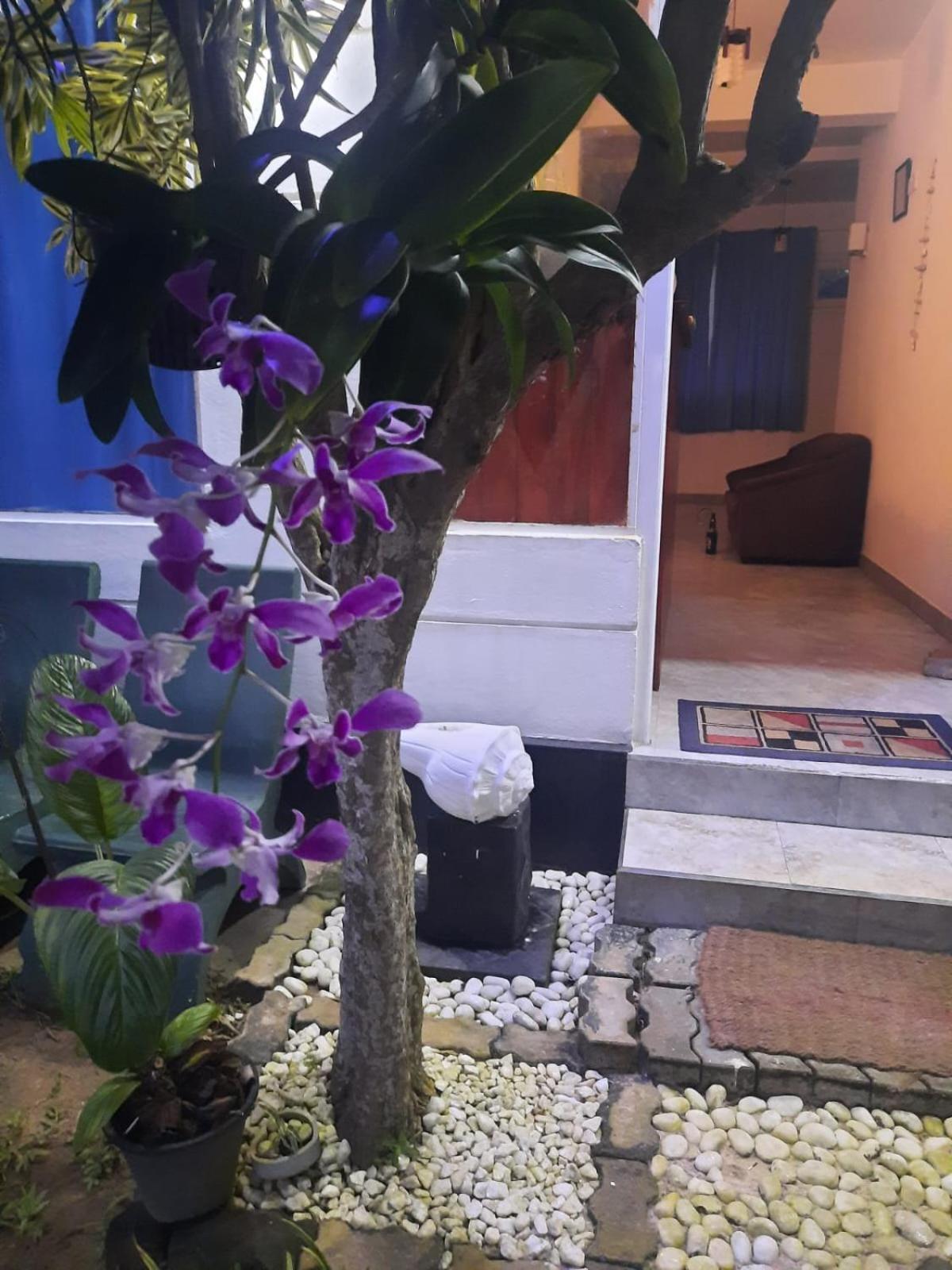אונה ואטונה White Surfing Beach Resort מראה חיצוני תמונה