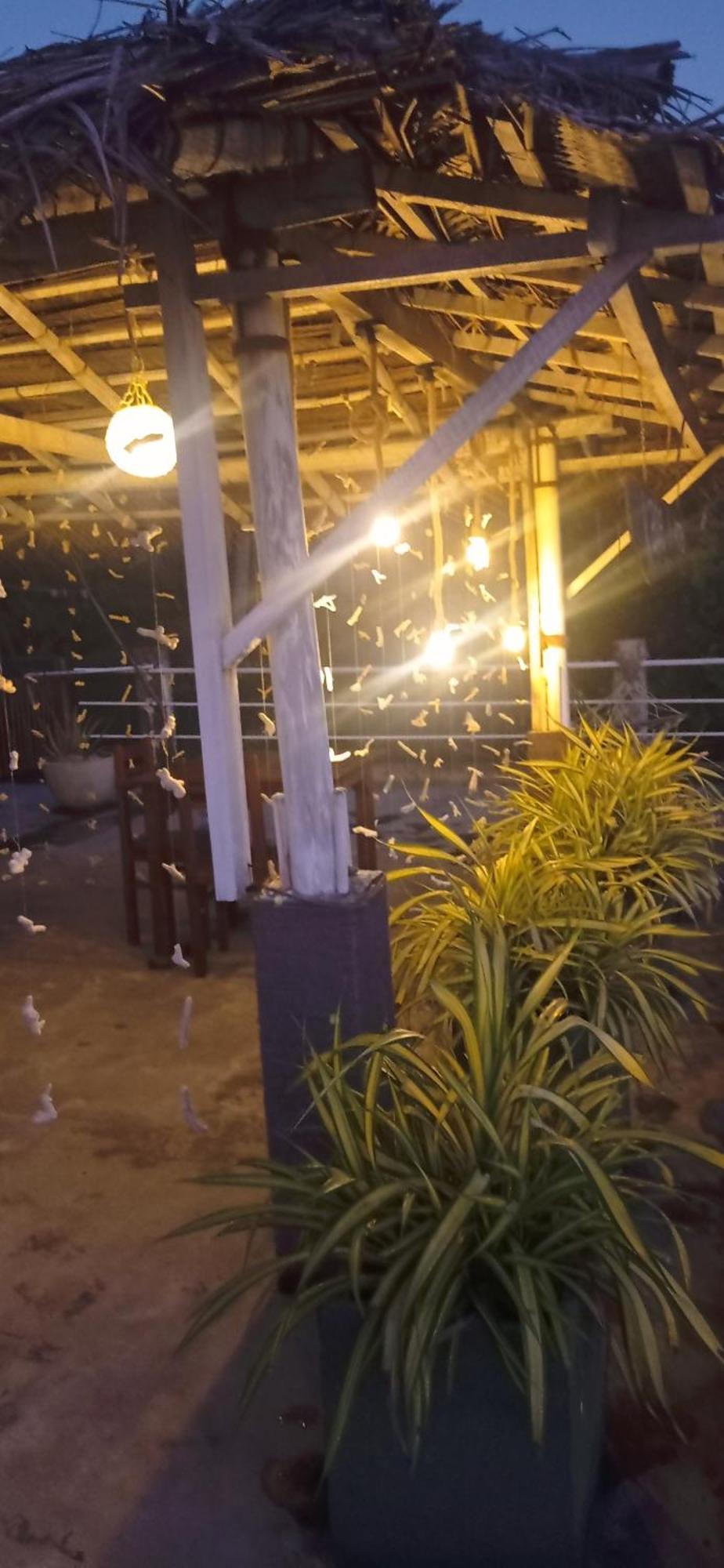 אונה ואטונה White Surfing Beach Resort מראה חיצוני תמונה